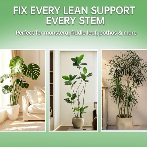 Yhtpouqe 6 Pack Extendable Plant Stakes, 16.5-42.5 Inch Plant Stakes for Indoor Outdoor, Adjustable Monstera Plant Support Sticks with Clips for Clombing Plants, Vine, Orchid, Tomato, Vegetables