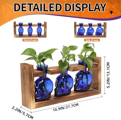 Plant Terrarium Propagation Stations Skull Planter Vase Skulls Decor