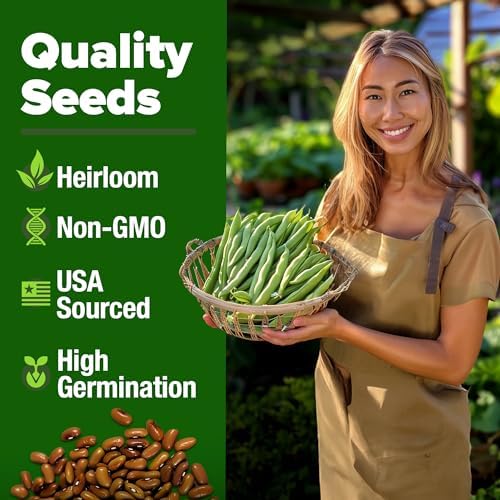 HOME GROWN Contender Bush Bean Seeds, 28+ Seeds, Phaseolus vulgaris