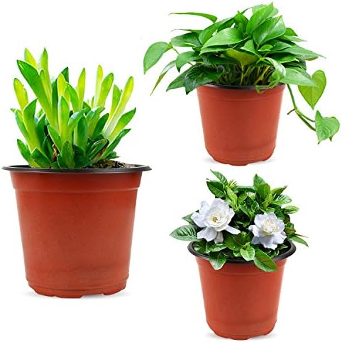 Augshy 130 Pcs 6 Inches Plastic Plant Nursery Pots, Seed Starting Container
