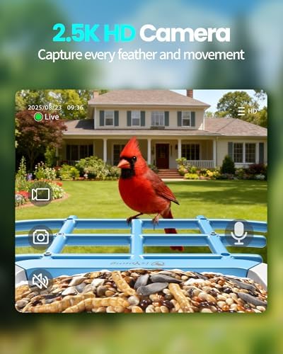G11 Smart Bird Feeder with Camera, 2.5K, AI Bird ID, 5W Solar, Blue