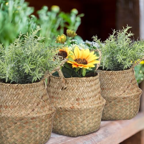 Qunclay 4 Pcs Woven Seagrass Baskets Belly Basket, Xs,S,M,L