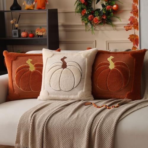 Allorry Fall Pillow Covers 24x24 2 Pack Beige Pumpkin Home Decor PT010A24