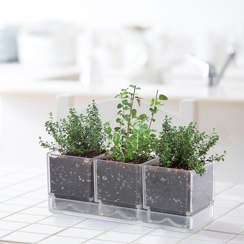 D'vine Dev 2-Pack Acrylic Herb Garden Planter Set, Clear, 76-V-D-2