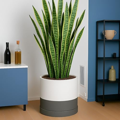 D'vine Dev 14 Inch Ceramic Planter Pot, White/Grey, 94-O-G-6