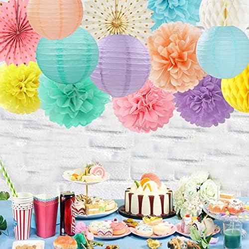 Pastel Rainbow Party Decorations Streamers - 14pcs Boy Girl Kids Birthday Supplies,Pink Yellow Blue Paper Lanterns Fan,Tissue Pom Poms,Honeycomb Balls, Baby Shower Wedding Decor Lasting Surprise