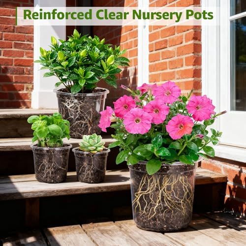 MIXC Clear Nursery Pots with Drainage Holes, 8/6/5/4/3.5 Inch 20 Pack