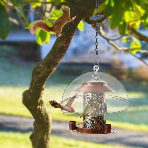 2 Set 11.8'' Bird Feeder Rain Guard, Clear Acrylic Squirrel Baffle Dome