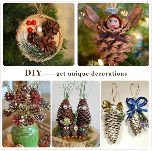 54 PCS Natural Pine Cones for Crafts Set Medium & Extra Large 1.2"-4"