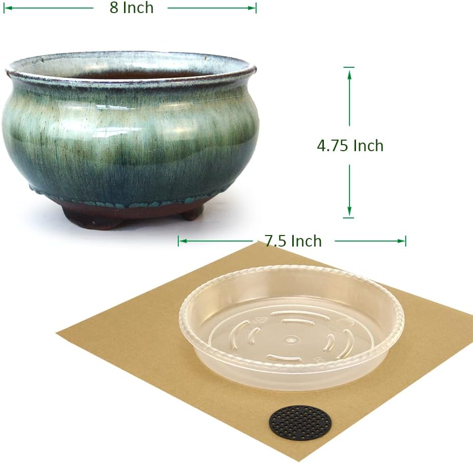 8 Inch Succulent Pot with Drainage and Saucer Glazed Terracotta Round Ceramic Succulent Planter Cactus Bonsai Plant Pot
