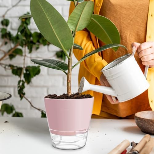 Hayder Plant Pots 6 inch Set of 6, Self Watering Flower Pots