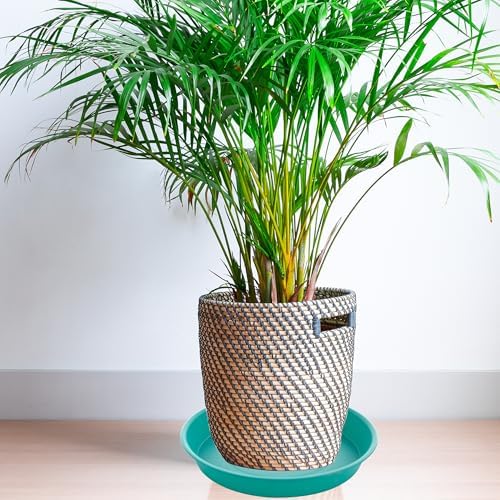 2 Pack of 10 inch Plant Saucer Gray, Heavy Duty Plastic Plant Saucer 10 inch Round, Durable Plant Tray for Pots, Plant Saucers for Indoors, Plant Trays for Planter 9"/10" (10", Teal)