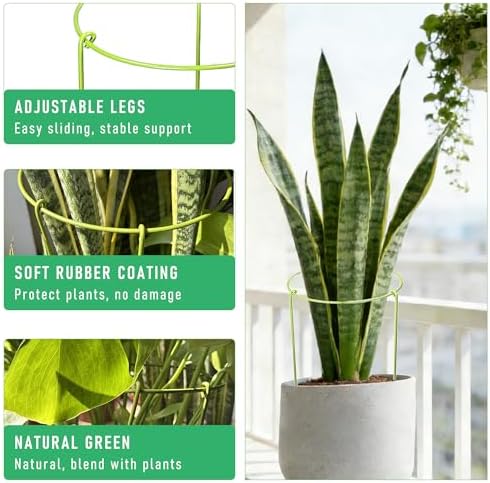 6-Pack Heavy Duty Plant Stakes and Supports for Indoor Outdoor Plants, Metal Support Stakes & Cage Rings, Ideal for Monstera, Peonies, Roses (6" W x 11" H)