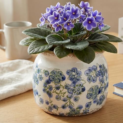 Vintage Cottage Ceramic Planters, French Flower Pot & Vase with Drainage