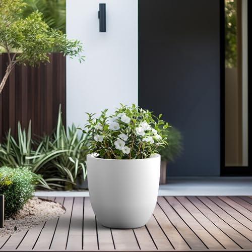 Kante 18" Dia Round Concrete Planter, Large Bowl Pot, White