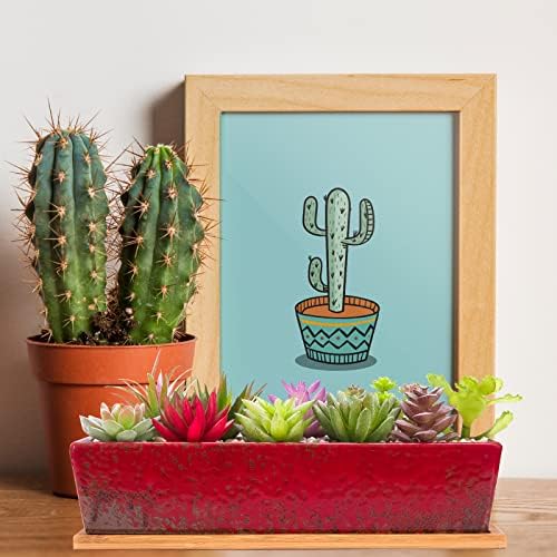 Succulent Pots - 12.1 Inch Large Succulent Planters with Drainage Tray