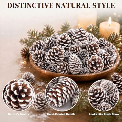DOMESTAR 40 PCS Snow Pine Cones for Crafts, Natural Cones Bowl Fillers