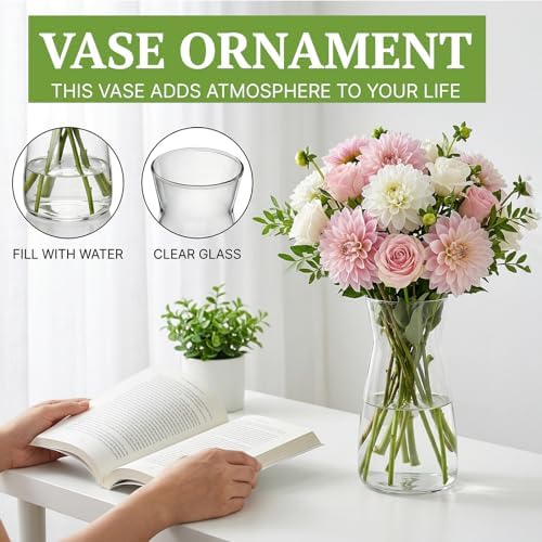 8 inch Glass Flower Vases for Flower 2 Pack,Clear Glass Vases