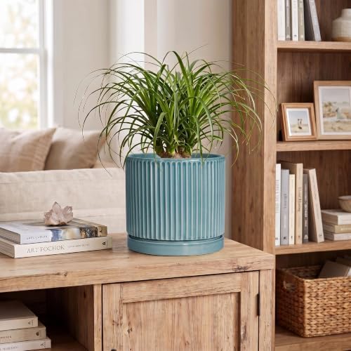 8 Inch Planter, Ceramic Pots for Plants with Saucer, Glaze Blue