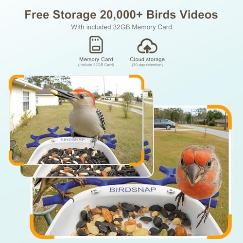 Smart Bird Feeder with Camera Solar Powered 2K HD Live Video with 32GB Card