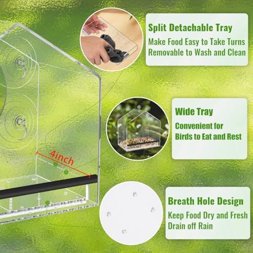 Clear Window Bird Feeder with Strong Suction Cups