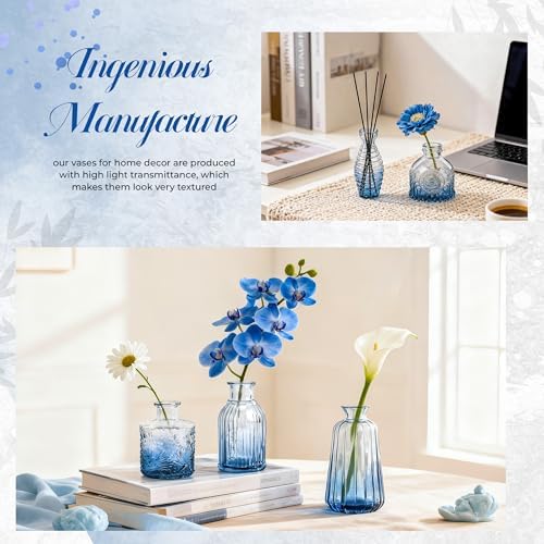 Der Rose 30pcs Glass Bud Vases, Blue Vases for Wedding Home Decorations