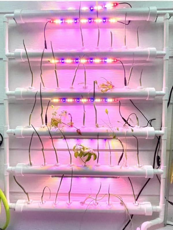 PVC Hydroponics Growing System 54 Plant Sites 6 Pipes Hydroponic Grow Kit Garden System Vegetable Tool with Pump