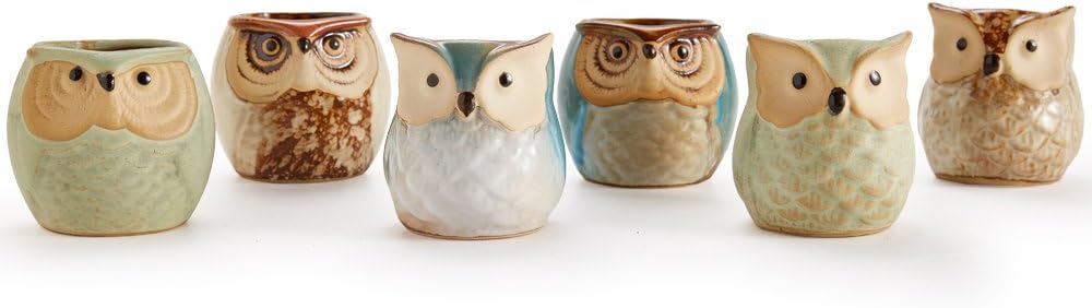 Owl Pot Ceramic Flowing Glaze Base Serial Set Succulent Plant Pot Cactus Plant Pot Flower Pot Container Planter with