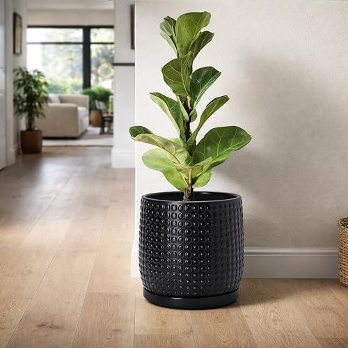D'vine Dev Beaded Ceramic Pot with Saucer, 8 in, Ebony Matte, 27-C-Q-6
