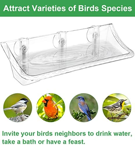 Clear Window Mounted Bird Feeder Bath, 2 Pack