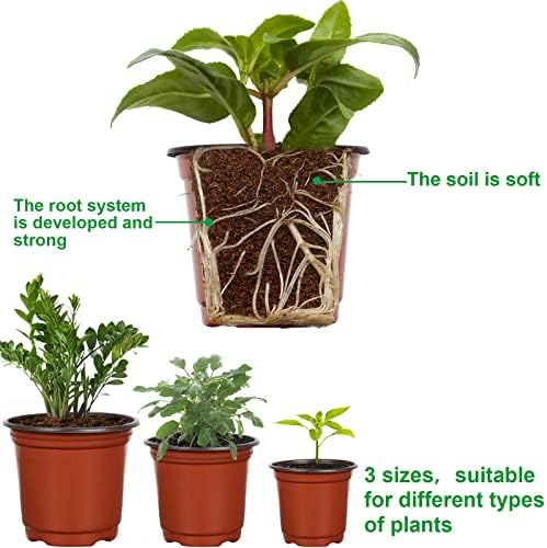 Augshy 120 Pcs Plastic Plants Nursery Pot, Seed Starting Pots 4,5,6-Inch