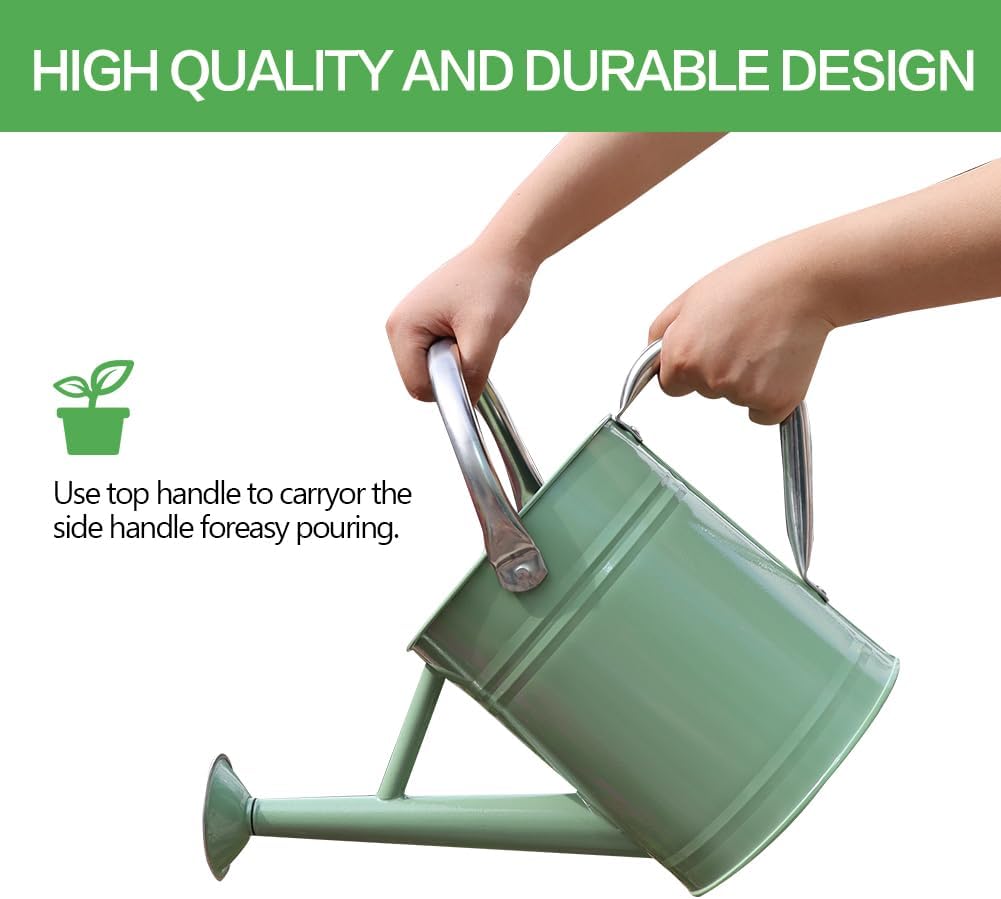 Metal Watering Can 1 Gallon for Outdoor Garden Plants, CGreen | Watering Cans Stainless Steel Handhold with Removable