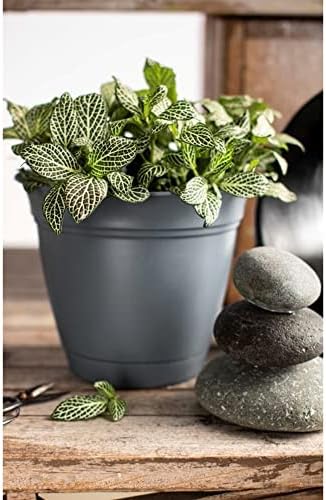 The HC Companies Eclipse Round Planter with Saucer - Outdoor & Indoor Plant Pot with Drainage Holes - Lightweight, UV-Resistant Plastic Pots for Plants, Flowers & Herbs (12" Slate Blue, Pack of 1)
