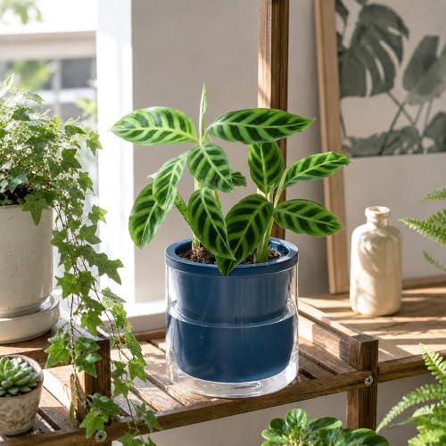 D'vine Dev Self-Watering Blue Terracotta Planter, 6 in, 2-Pack, 37-Y-B-4