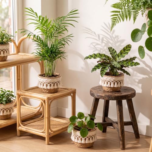 4 Pcs Straw Plant Baskets with Tassel, Indoor Rattan Woven Flower Baskets with Plastic Liner, Cattail Plant Planter for Indoor Outdoor Rustic Boho Home Farmhouse Floor Potted Pots Decor