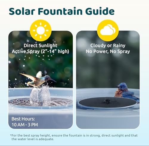 Birdfy Smart Bird Bath with Camera, Solar Powered, Dual-Lens 2K AI Camera
