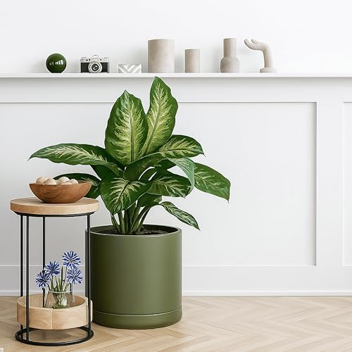D'vine Dev 12 Inch Ceramic Planter Pot, Olive, 94-O-F-J