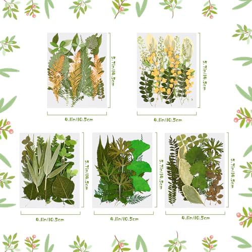 Nuanchu 99 Pieces Bulk Assorted Pressed Leaves for Crafts, 5 Pack, Stylish