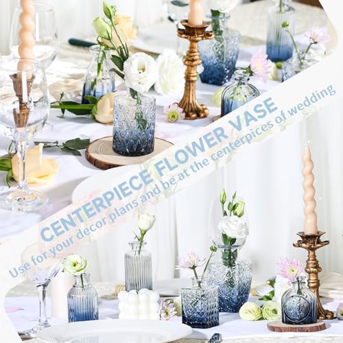 24PCS Mini Bud Vases As Wedding Centerpieces for Tables,Clear Bud Vases for Flowers,Small Flower Vases Suitable for Birthday Party,Anniversary,Wedding Reception,Baby Shower (Blue)