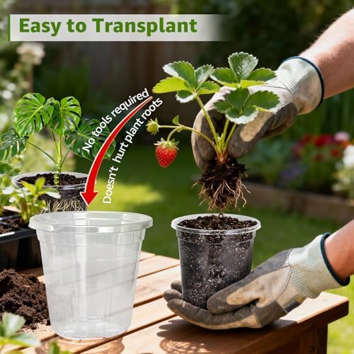 MIXC Clear Nursery Pots with Drainage Holes, 8/6/5/4/3.5 Inch 20 Pack