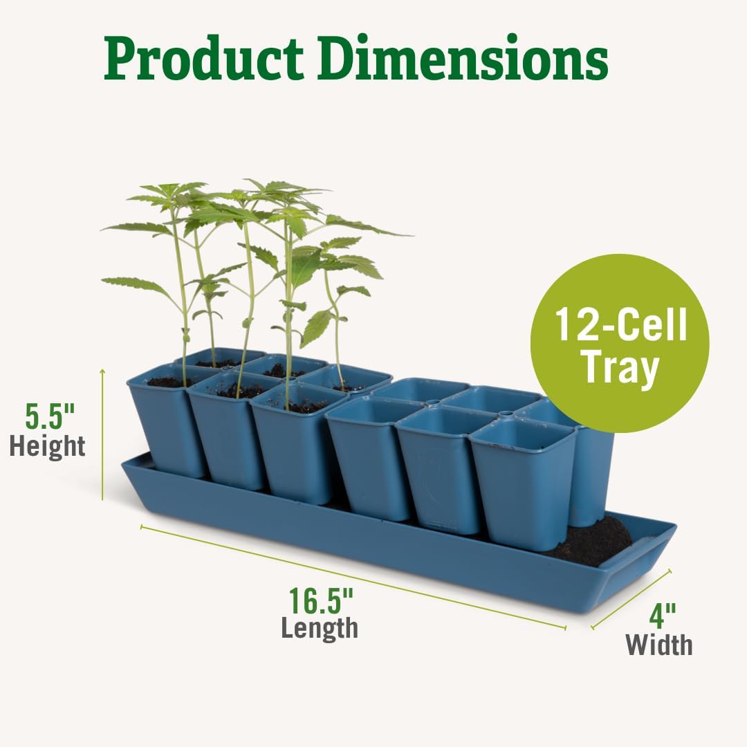 Gardener's Supply Company Gardener's Best® XL Seed Starting Kit | Durable and Reusable Self-Watering Deep Root Seed