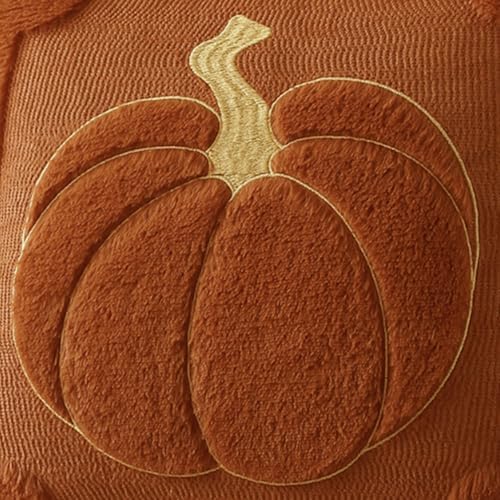 Allorry Fall Pillow Covers 18x18 2 Pack Rust Pumpkin Home Decor PT010C18