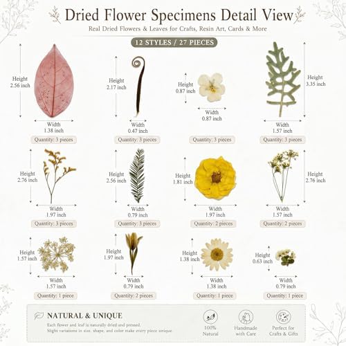 LUXEEASE 100P Vintage Warm Tone Dried Pressed Flowers