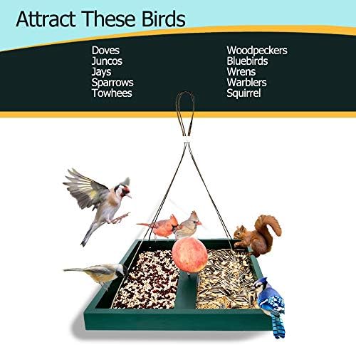 Solution4Patio Platform Bird Feeder for Outdoors Hanging, Open-Air Wild Bird & Squirrel Feeder, 360° Viewing Hanging Tray with Rust-Resistant Mesh & Quick-Fill Design