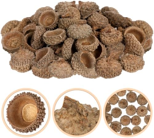 Ciieeo 50Pcs Natural Dried Acorn Caps - Genuine Rustic Botanical Toppers for DIY Crafts and Wreath Making | Brown Autumn Vase Filler for Thanksgiving Christmas and Seasonal Table Decor