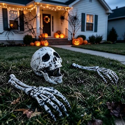 3Pcs Realistic Halloween Skeleton Stakes Outdoor Decorations for Yard