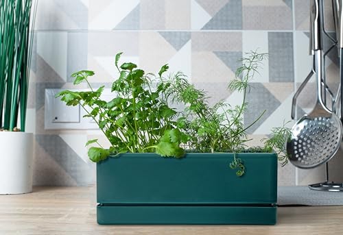 D'vine Dev Rectangular Planter, 12 x 4.5 in, Green, Set of 1, 76-X-C-1
