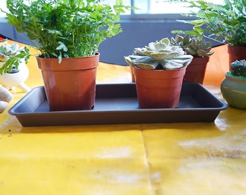 VUWEZ 2 Pack of Plastic Plant Tray Saucer Rectangular 14 inch, Plant Trays Saucers for Indoors Outdoor, Plant Water Drip Tray for Flower Pot Planter, Windowsill Plant Tray (6.8 X 14.5'', Brown)