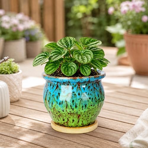 4.5 Inch Plant Pots, Small Pots for Plant Indoor, Succulent Pots with Tray