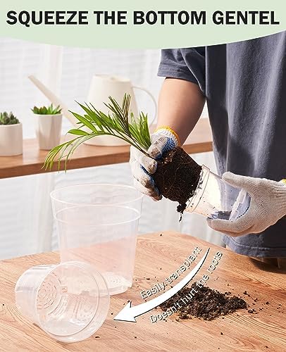 homenote 3/4/5 Inch Clear Nursery Pots with Drainage and 20 Labels (30 Pcs)